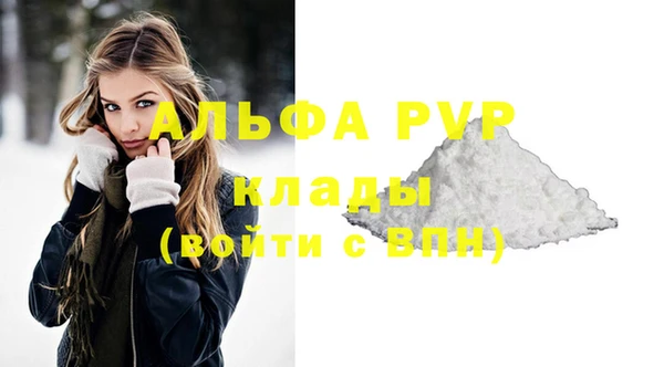 индика Балахна