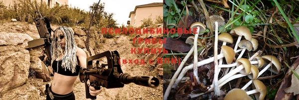 ALPHA-PVP Баксан