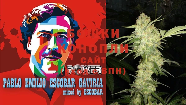 индика Балахна