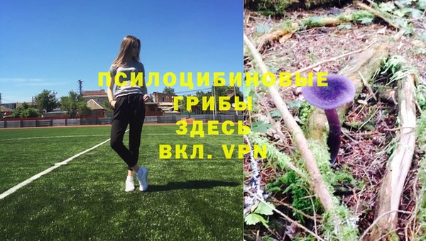 ALPHA-PVP Баксан