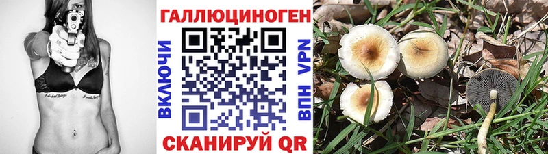 наркотики  Семёнов  Псилоцибиновые грибы MAGIC MUSHROOMS 